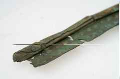 Foto von Bronzebreitrandschüssel (NHMW-PRAE-002320)